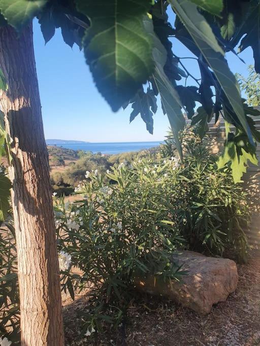 Studio Mitoyen A La Campagne Vue Sur La Mer Cargese Exterior photo